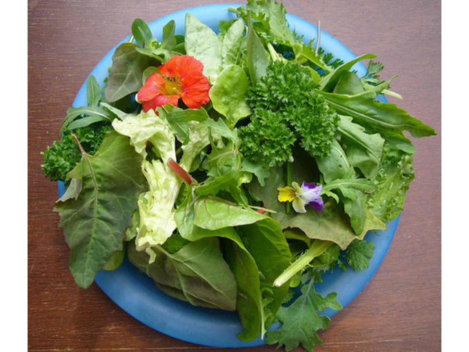 зеленые листовые овощи